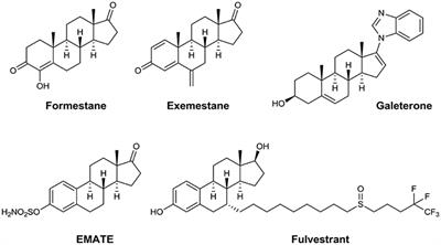 Steroidal Pyrimidines and Dihydrotriazines as Novel Classes of Anticancer Agents against Hormone-Dependent Breast Cancer Cells